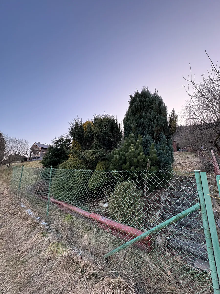 Fotka 4 z 10